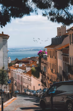Historic Alfama Discovery